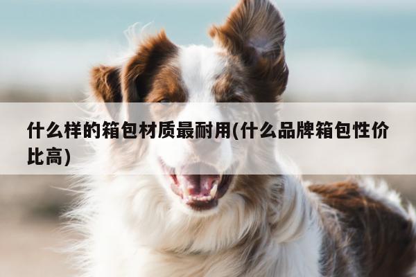 什么样的箱包材质最耐用(什么品牌箱包性价