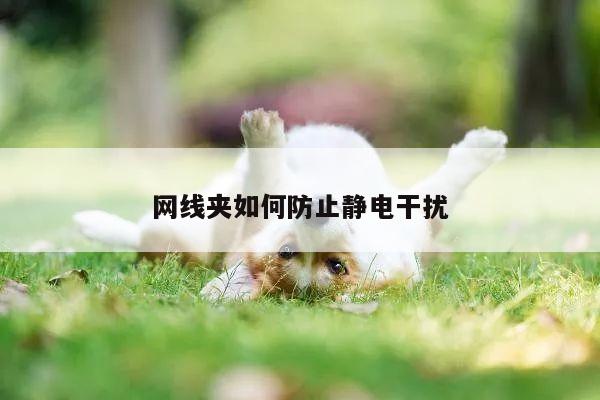 yy易游体育：网线夹如何防止静电干扰