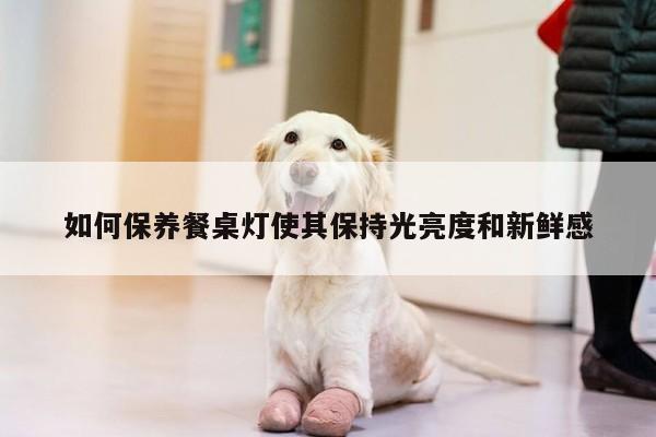如何保养餐桌灯使其保持光亮度和新鲜感_yy易游