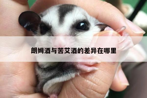 yy易游-朗姆酒与苦艾酒的差异在哪里