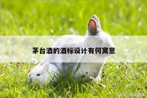 茅台酒的酒标设计有何寓意|yy体育