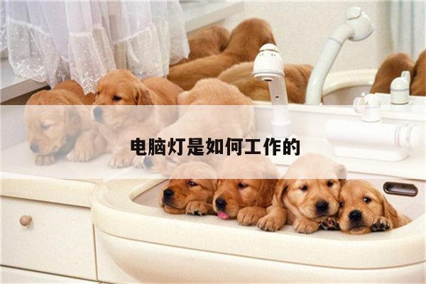 yy易游-电脑灯是如何工作的