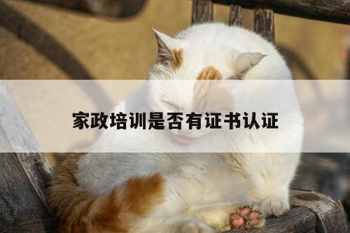 yy易游体育-家政培训是否有证书认证