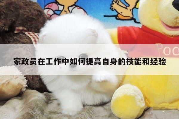 yy易游体育|家政员在工作中如何提高自身的技能和经验