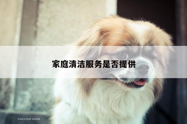 【yy易游】家庭清洁服务是否提供