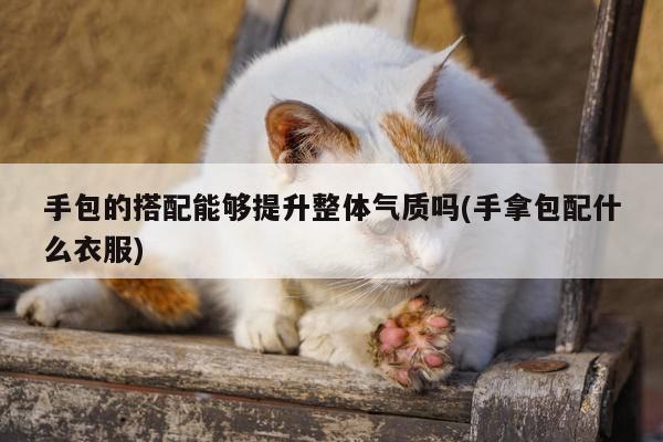 yy易游|手包的搭配能够提升整体气质吗(手拿包配什么衣服)