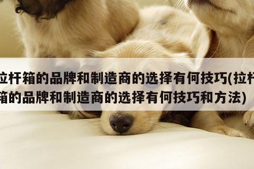 拉杆箱的品牌和制造商的选择有何技巧(拉杆箱的品牌和制造商的选择有何技巧和方法)|yy易游