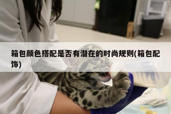 易游体育|箱包颜色搭配是否有潜在的时尚规则(箱包配饰)