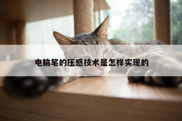 【yy易游体育】电脑笔的压感技术是怎样实现的