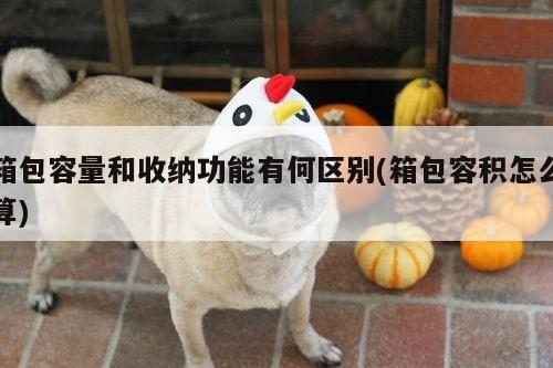 箱包容量和收纳功能有何区别(箱包容积怎么算)-yy易游体育