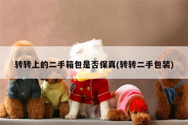 【yy体育】转转上的二手箱包是否保真(转转二手包装)