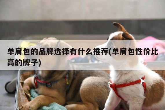 单肩包的品牌选择有什么推荐(单肩包性价比高的牌子)_yy易游体育