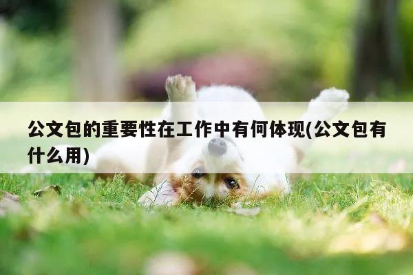 【yy易游】公文包的重要性在工作中有何体现(公文包有什么用)